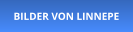 BILDER VON LINNEPE